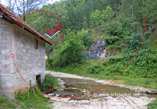 Put za Homoljsku potajnicu, Žagubica
