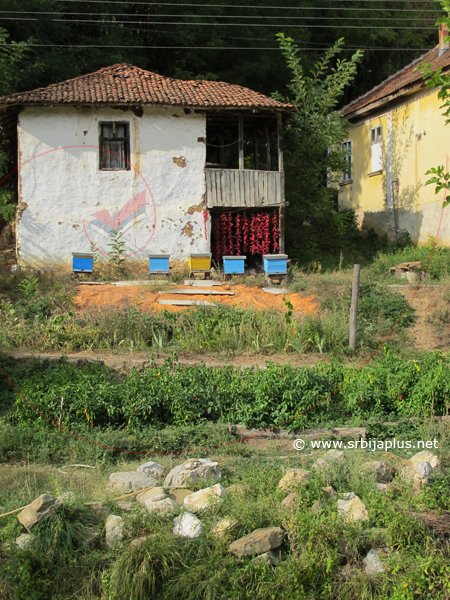 Lepa, stara seoska kuća s tremom, Stara Kalna, Knjaževac