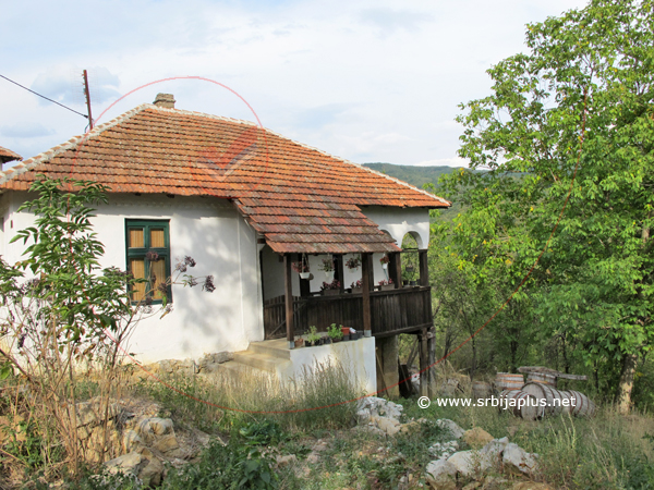 Novija seoska kuća s tremom, Stara Kalna, Knjaževac