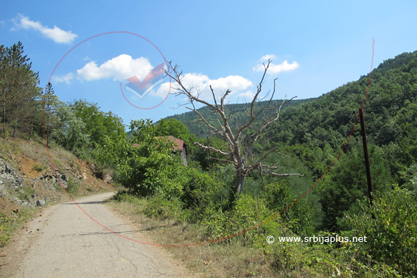 Staro Korito, Knjaževac