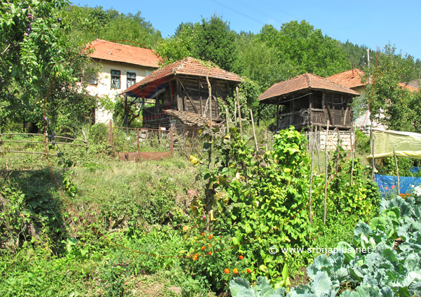 Staro Korito, Knjaževac