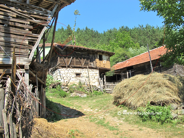 Seosko dvorište, Staro Korito, Knjaževac