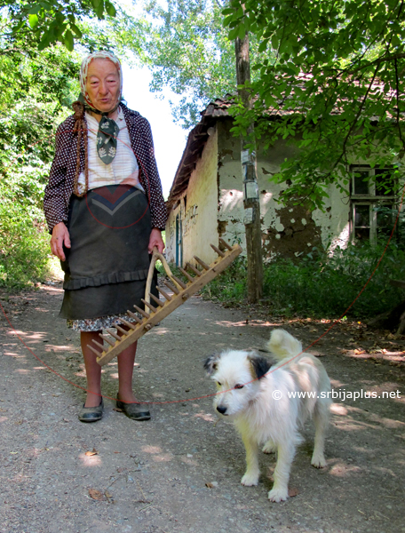 Žena i pas, Staro Korito, Knjaževac