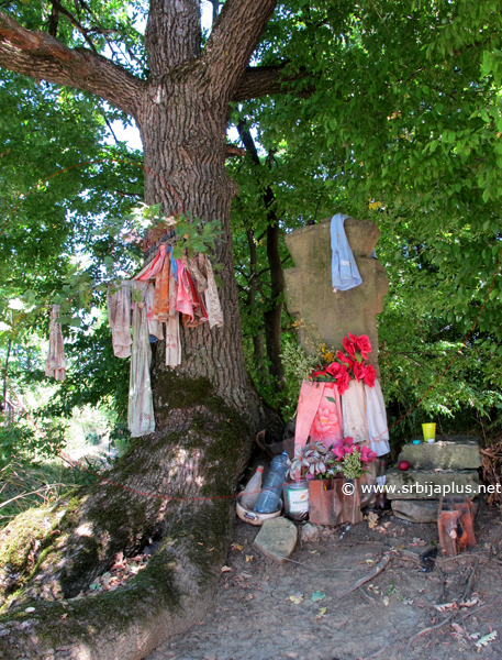 Krst i seoski zapis, Staro Korito, Knjaževac