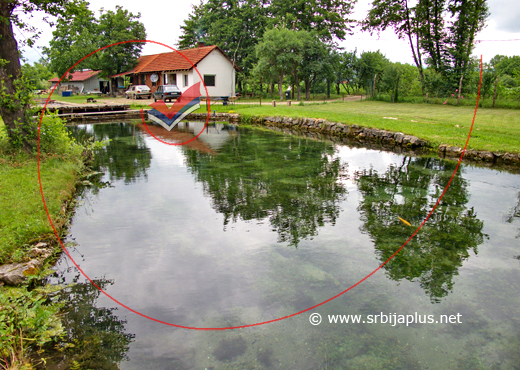 Vrelo Belosavac, Suvi Do, Žagubica