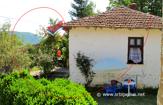 Dvorište sa šimširom, Svrljiška Topla, Knjaževac