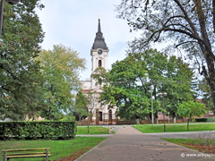 Tomaševac - Gradski park Tomaševac - Gradski park