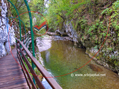 Kanjon Velikog Rzava