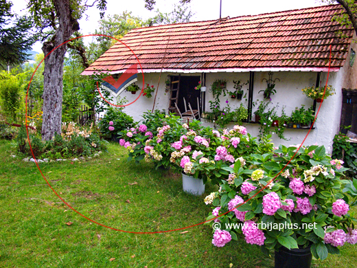 Dvorište porodice Aleksandrić, Visoka, Arilje
