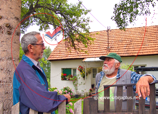 Profesor Puniša Aleksandrić i Đorđe Lečić, Visoka, Arilje