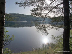 Vlasinsko jezero Vlasinsko jezero