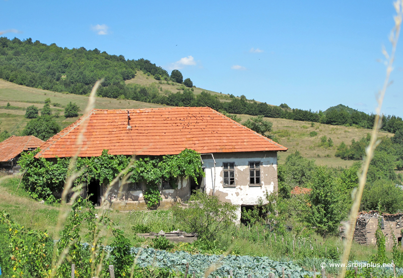 Seoska kuća s vinjagom, Vlaško Polje, Knjaževac