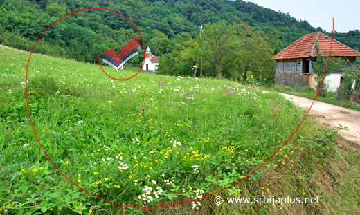 Rustična, letnja panorama Voljevaca, Drinu i bosanske planine, Mali Zvornik