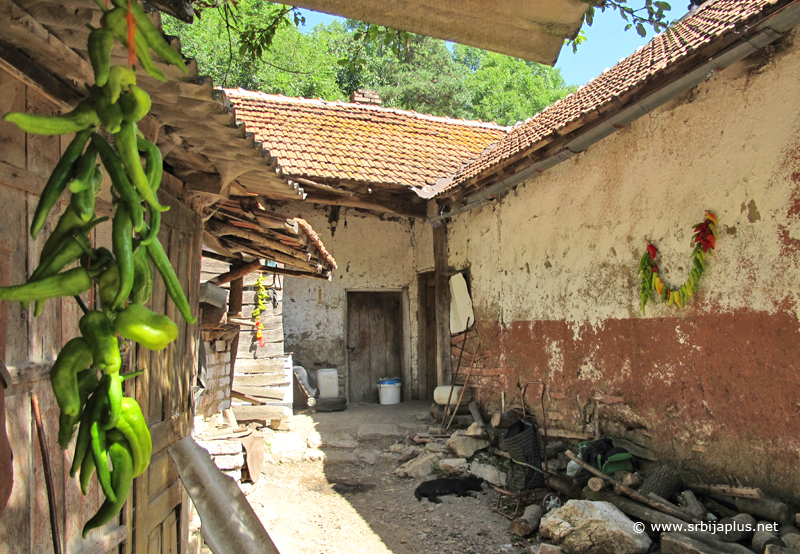 Sušenje paprike, Vrapča, Dimitrovgrad