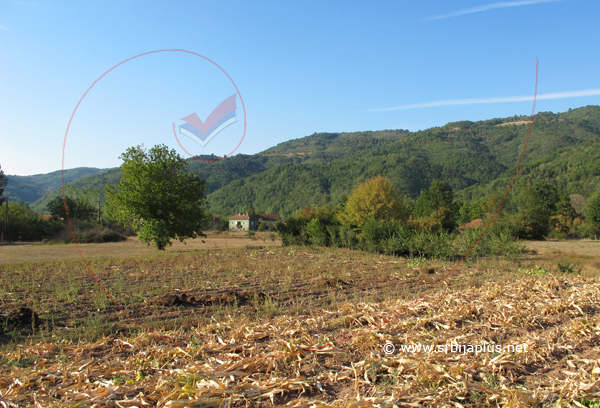 Polja u Vrtovcu, Knjaževac