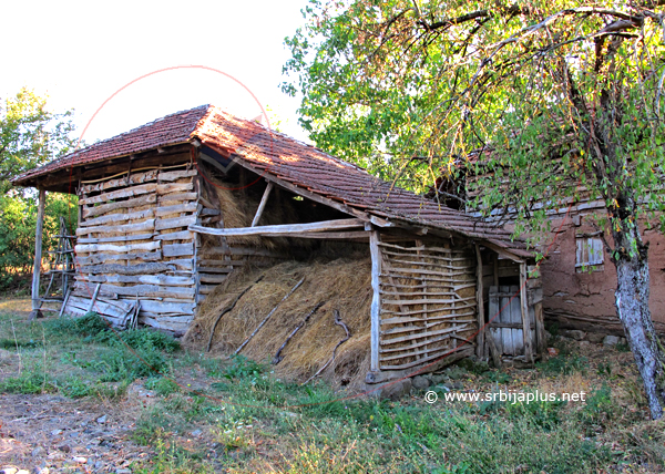 Senik, Vrtovac, Knjaževac