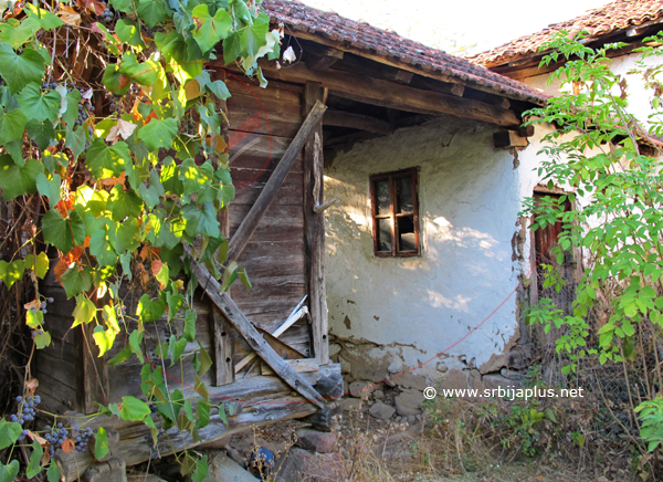 Ambar, Vrtovac, Knjaževac