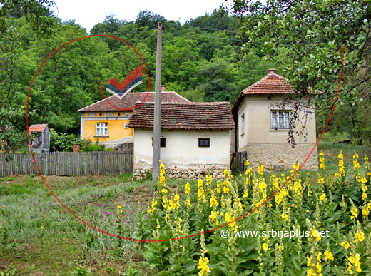 Dvorište pored šume, preko Vukovačke reke, Žagubica