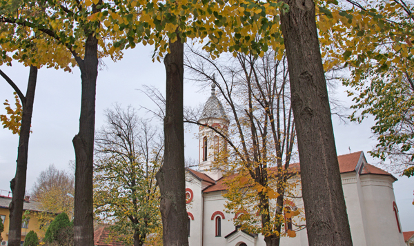 Žagubica, novembar 2018.
