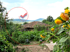 Procvetala seoska bašta s pogledom na Crni vrh, Zubetinac, Knjaževac