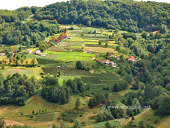 Malinjaci u zaseoku Pajevići, Bjeluša kod Arilja / Fields of raspberries in the hamlet of Pajevici, Serbia