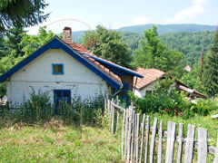 Bankovci - Crna Trava Bankovci - Crna Trava