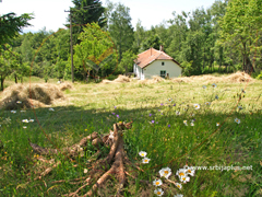 Mlačište - Crna Trava Mlačište - Crna Trava