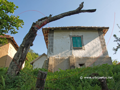 Pavličine - Crna Trava Pavličine - Crna Trava