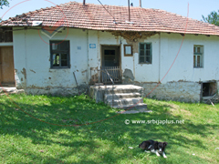 Rajčetine - Crna Trava Rajčetine - Crna Trava