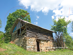Zlatance - Crna Trava Zlatance - Crna Trava