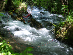 Izvor Crnog Timoka u Krivom Viru kod Boljevca / Source of Crni Timok River at Krivi Vir, Boljevac, Serbia