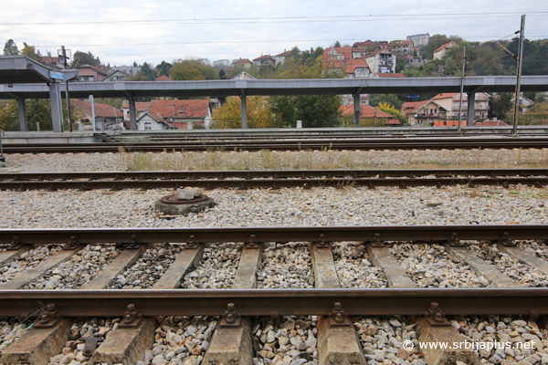 Stanični koloseci