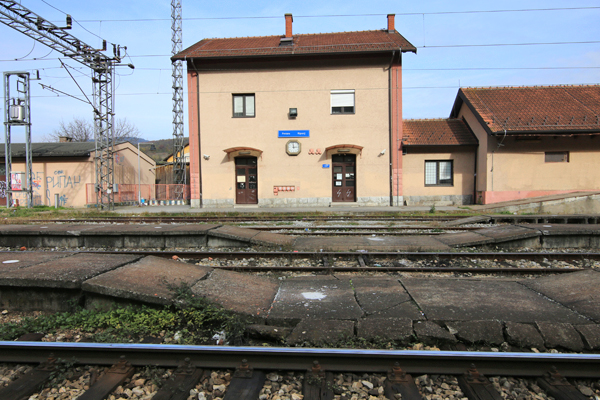 Stanični peroni