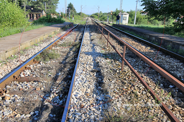 Seosko dvorište s perunikom, Bajinci, Crna Trava