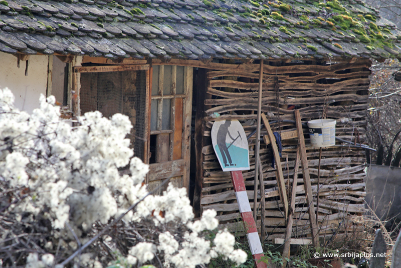 Železnička stanica Palojska Rosulja