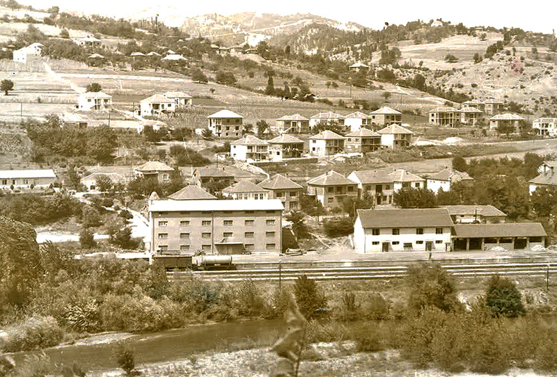 Panorama železničke stanice Vladičin Han, oko 1960. godine. U prvom planu je Južna Morava