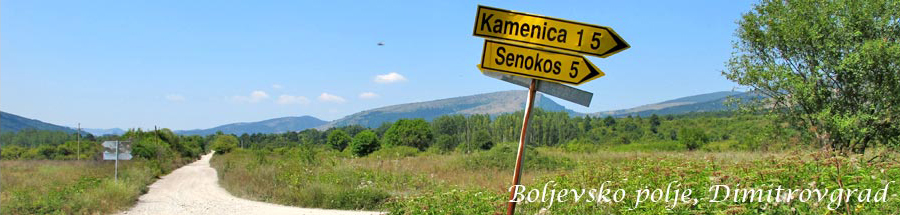 Boljevsko polje kod Dimitrovgrada