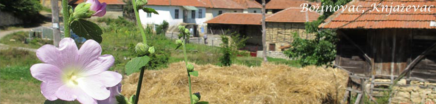 Božinovac kod Knjaževca