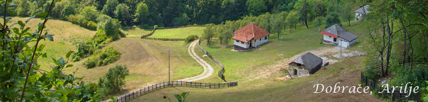 Dobrače, Arilje
