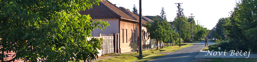 Novi Bečej