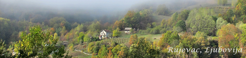 Rujevac, Ljubovija